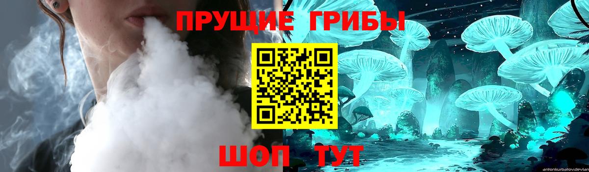 Псилоцибиновые грибы Psilocybine cubensis  Вход с VPN  Строитель 